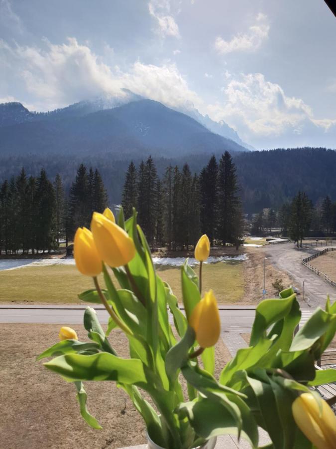 Apartma Kurji Vrh - Chicken Top Kranjska Gora Eksteriør billede
